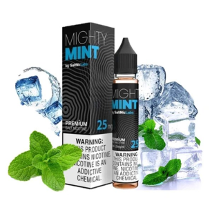 Vgod E-liquids | Mighty Mint 30mL | Juice Salt Nic VGod - 1