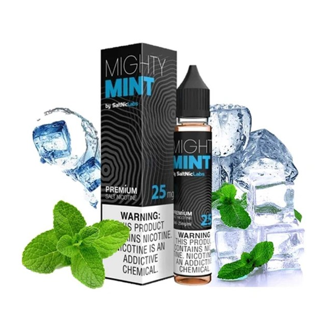 Vgod E-liquids | Mighty Mint 30mL | Juice Salt Nic VGod - 1